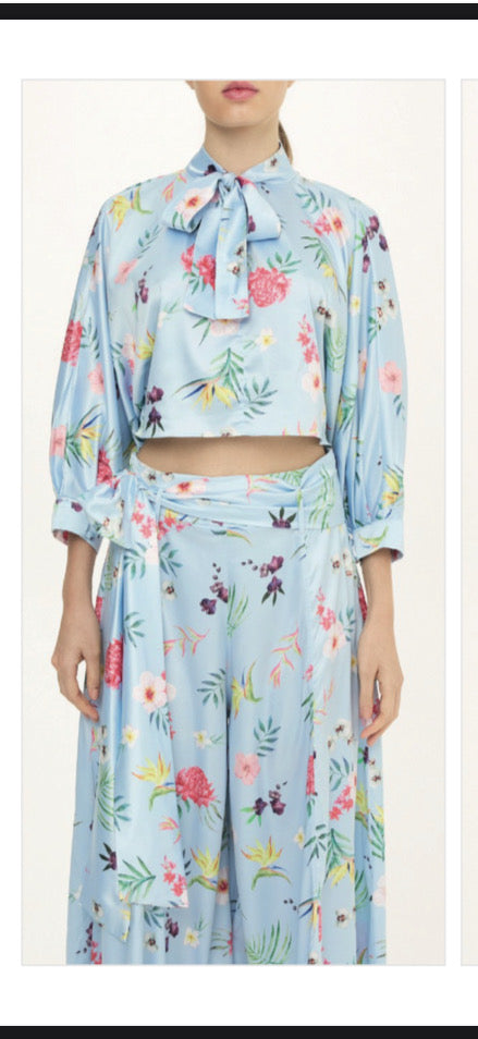 Dri Blue Garden Blouse