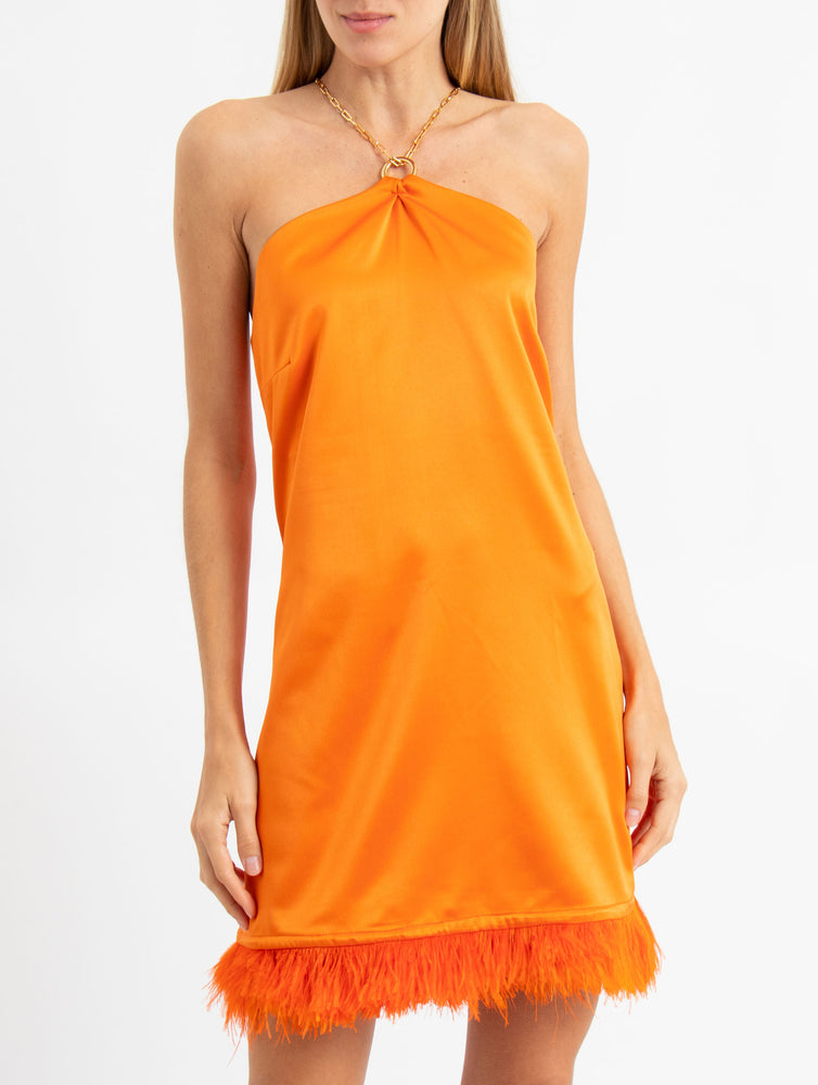 Ines Dress with Feathers